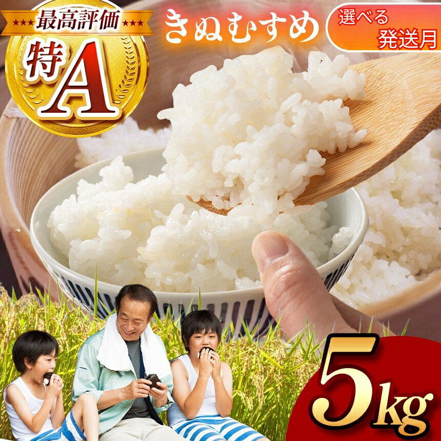 【ふるさと納税】 先行予約 米 令和8年度産 きぬむすめ ( 白米 5kg ) ＜ 選べる発送月 11月 or 12月 ＞ ｜ 米 精米 白米 お米 コメ 単一米 きぬむすめ 選べる 山口 美祢 5kg とよたファーム
