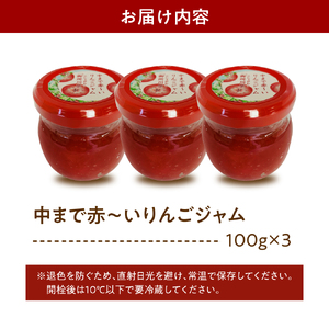 ジャム　中まで赤～いりんごのりんごジャム 100g×3瓶 フルーツジャム