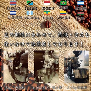 世界のコーヒー 飲み比べ 豆 or 粉 10種類(100g×10)・合計1kg(モカ・キリマンetc) 粉