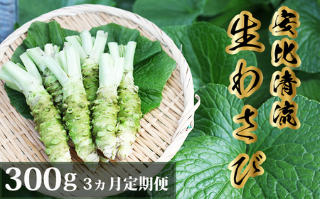 岩手県産 生わさび 300g 定期便3ヶ月 【安比清流山葵園】 ／ 山葵 ワサビ わさび 薬味 国産 八幡平市産 産地直送 新鮮 調味料 お肉 蕎麦 和え物 漬け物 刻み おろし 辛味 お寿司 そば 肉の薬味 魚の薬味 そばの薬味