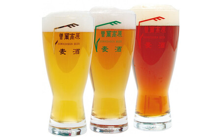 【奈良県のクラフトビール】インターナショナルビアカップ金賞受賞ブルワリー 曽爾高原ビール 10本セット 330ml×10本計3300m /// ビール クラフトビール 地ビール お得な返礼品 クラフト