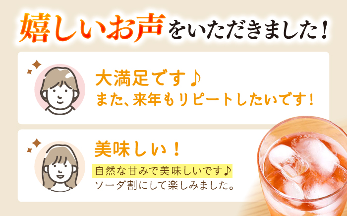 飲む 玄米酢 酢らり 大瓶2本セット（春いちご）＜川添酢造＞ [CDN060] 長崎県 西海市 酢 飲む酢 ビネガー 果実酢 ジュース 酢 贈答 ギフト飲むお酢 フルーツ酢 健康飲料 美容 疲労回復 