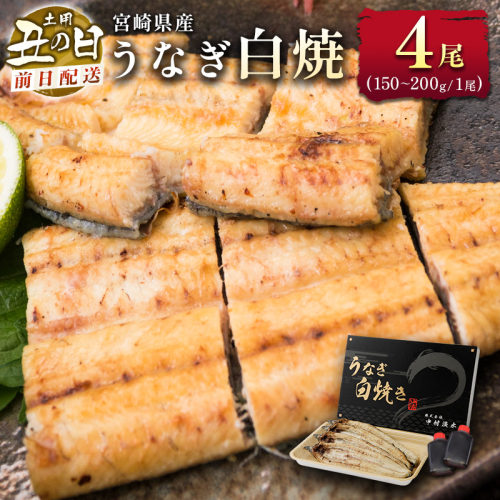 前日配送予約［土用丑の日］うなぎ白焼き 4尾 タレ付（150～200g/1尾あたり）※前日7月25日お届け 国産 有頭 熨斗 贈答品 ギフト 配送日指定可【N46-A26】