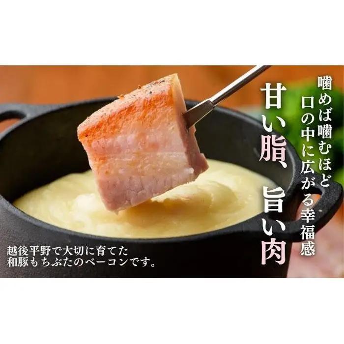 越後もちぶた(新潟県産和豚もちぶた) バラとショルダー2種のベーコンセット 600g ※2026年1月下旬より発送開始