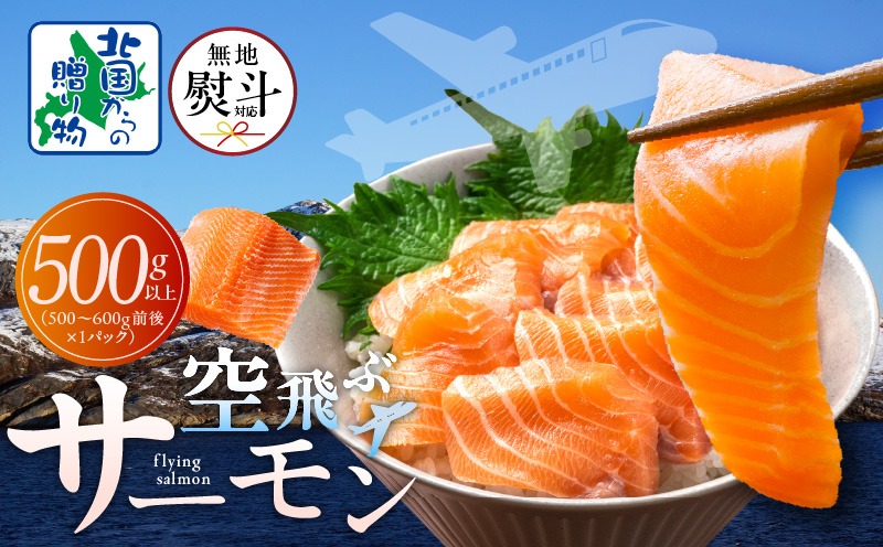 099H3605-1y 【年内発送】アトランティックサーモン 総量 500g以上【無地熨斗 フィレ エコパック 訳あり サイズ不揃い 刺身 さーもん 冷凍 北国からの贈り物】