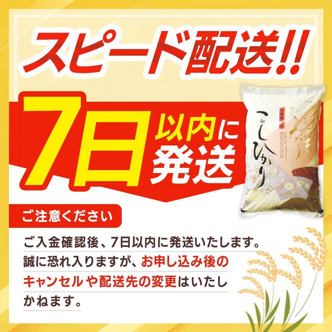 ＼ 最短7営業日以内に発送 ／【令和7年産】コシヒカリ 精米20kg（5kg×4袋）（茨城県共通返礼品 かすみがうら市） スピード発送 早い 米 ごはん もっちり 甘い コメ お米 白米 銘柄米 [E