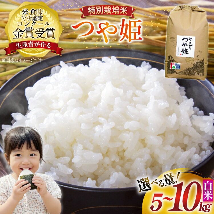 【ふるさと納税】【選べる内容量】 米 令和7年産 つや姫 5kg 10kg 特別栽培米 精米 [農家の蔵出し米生産組合 山形県 高畠町 tk06ays900040] コメ ご飯 ごはん お米 ブランド米 kome 山形 5キロ 10キロ