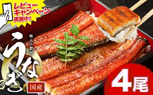 レビューキャンペーン実施中！ うなぎ 鰻 ご家庭用  4尾 (サイズ不選別：1尾当たり140g-180g) 福岡県産 鰻の蒲焼き 数量限定 株式会社HOMIE《11月上旬-11月末頃出荷》福岡県 鞍手郡 鞍手町 鰻 蒲焼き 数量限定 国産 蒲焼 うなぎ蒲焼