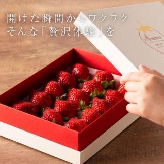 【2025年1月～4月納品分予約販売】武下さんちの完熟あまおう3Lサイズ450g。白いVIPボックスに入れて！