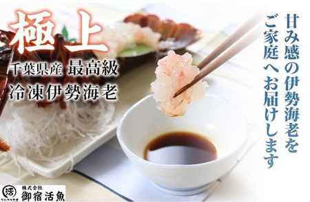 活〆生食用伊勢海老（冷凍）３２０ｇ（１５０～１８０ｇ）×２匹 /  ONJB001　伊勢海老　海老　イセエビ　生食用