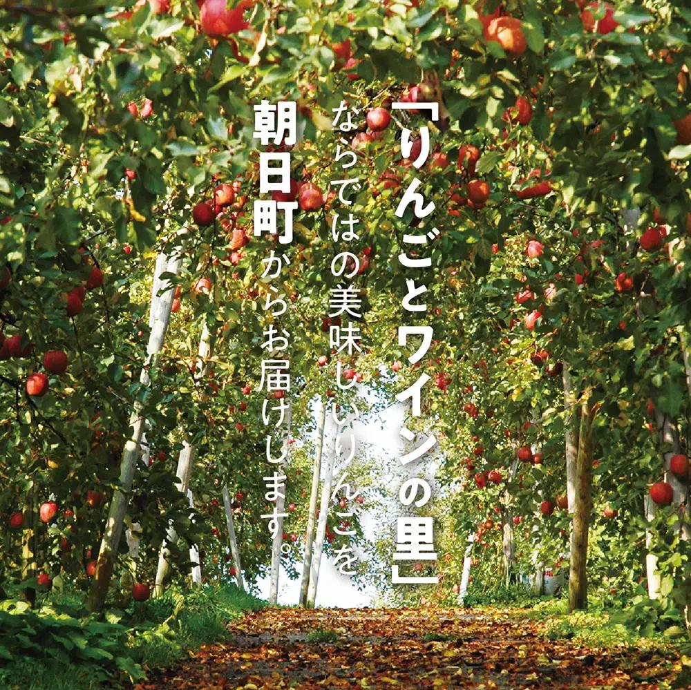 りんご 無袋ふじ 秀品 2kg 【12月上旬～下旬発送】 サンふじ 山形県 朝日町産 山形県産 特産 果物 フルーツ リンゴ 林檎 冬