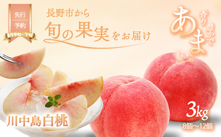 2026年発送川中島白桃約3kg（8個～12個） 