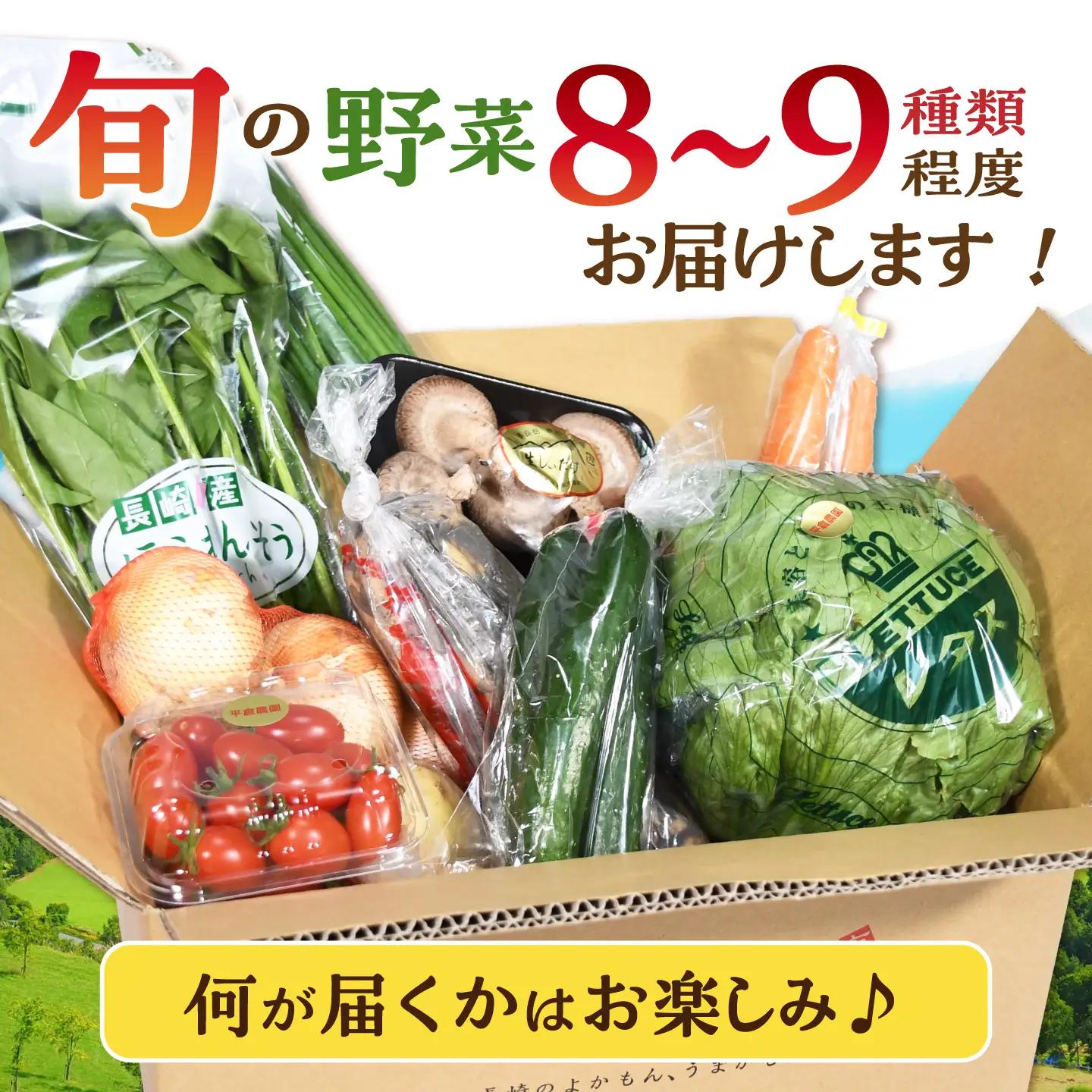 諫早産野菜の詰め合わせ 8・9品目程度 / 季節 旬 野菜 やさい セット 春野菜 夏野菜 秋野菜 詰め合わせ / 諫早市 / 肥前グローカル株式会社[AHDI004]