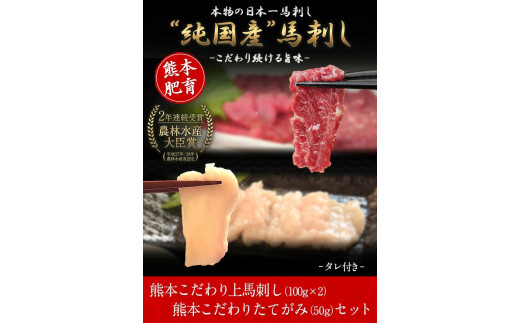 馬刺し 上赤身 ブロック 国産 熊本肥育 冷凍 生食用 たれ付き(100g×2)＋たてがみセット(50g×1) 肉 期間限定 絶品 牛肉よりヘルシー 馬肉 予約 平成27年28年 農林水産大臣賞受賞 