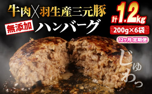 【定期便】 12回 ハンバーグ 1.2kg 計14.4kg 牛肉 豚肉 合挽き 冷凍 小分け 真空 個包装 大容量 大きめ 肉汁 たっぷり 保存料 不使用 無添加 淡路島 玉ねぎ ビーフ ポーク 牛 豚 肉 合いびき肉 挽肉 お弁当 おかず 惣菜 晩ごはん おつまみ お取り寄せ ごはんのお供 贅沢 ギフト お中元 お歳暮 贈り物 贈答