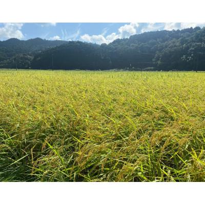 ふるさと納税 丹波篠山市 大自然で育てた「コシヒカリ」10kg(5kg × 2) |  | 01