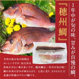 朝締め穂州鯛　サク2人前（3月配送）