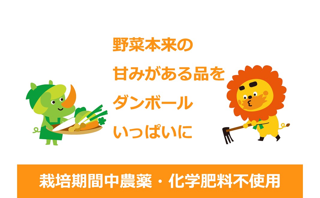 2～4名様向け／野菜6種に加工品をプラス 野菜セット 野菜詰合せ 産地直送 旬の野菜 農園直送 食べ物 食品 グルメ 食卓 ベジタブル 国産 日本産 国産野菜 