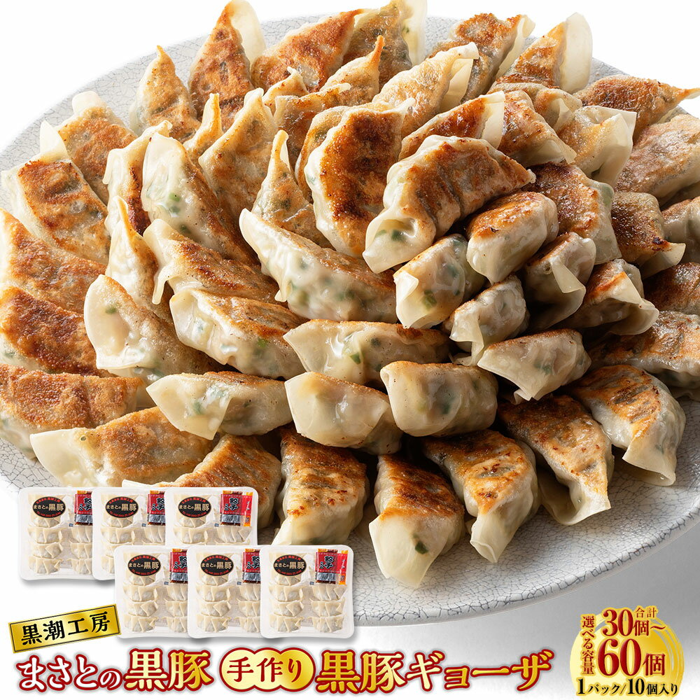 【ふるさと納税】＜まさとの黒豚 手作り黒豚ギョーザ＞ ※入金確認後、2か月以内に順次出荷します。 30個（220g×3パック） 40個（220g×4パック） 60個（220g×6パック） 【選べる容量】 餃子 ぎょうざ 豚肉 黒豚100％使用 おかず 黒潮工房 宮崎県 高鍋町 【冷凍】