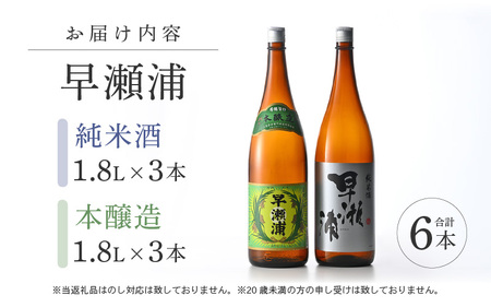 入手困難【早瀬浦】本醸造 1800ml × 3本 ＆ 純米酒 1800ml × 3本 セット【飲み比べ 日本酒 地酒 福井 美浜 早瀬 フルーティ 男酒 硬水 ミネラル 希少 ご褒美 家飲み】[m16