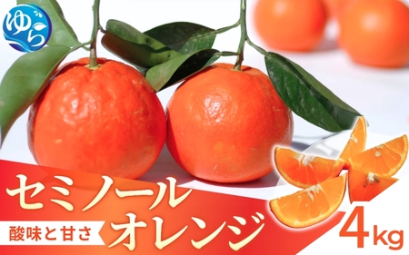 【来シーズン先行予約】セミノール 4kg ※2026年4月上中旬～順次発送 / みかん 晩柑 人気 柑橘 スマイルカット 蜜柑 フルーツ 果物 くだもの 食品 人気 おすすめ 送料無料 産地直送 和歌山県 由良町【kzmn024】