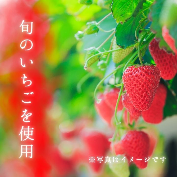 メルカドレグメス フリーズドライフルーツ いちご / フリーズドライフルーツ フリーズドライ フルーツ 果物 くだもの いちご イチゴ 苺 自家製