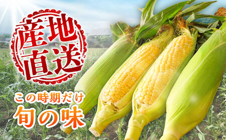 【5月下旬から順次発送】【限定数量】スイートコーン(ドルチェドリーム)約4kg【なかむら農園】[BHCJ002]