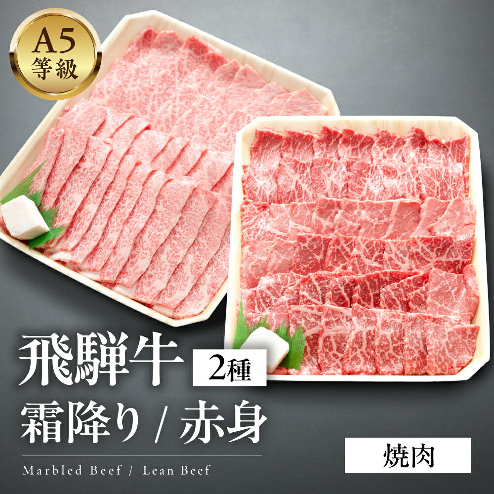 【ふるさと納税】 A5等級 飛騨牛　霜降り・赤身焼肉　1kg(500g×2) / 600g(300g×2)