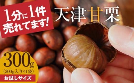 【お試し】この道50年の職人が焼く、やさしい甘みたっぷりの「天津甘栗」300g！ 保存料不使用 焼きたて 栗 くり 栗爪付き 専門店 殻付き やさしい甘み 河北省 栗 甘栗 焼き栗 お菓子 おつまみ 人気 高リピート 小分け 栗ご飯 栗きんとん 甘露煮 お取り寄せ H045-068