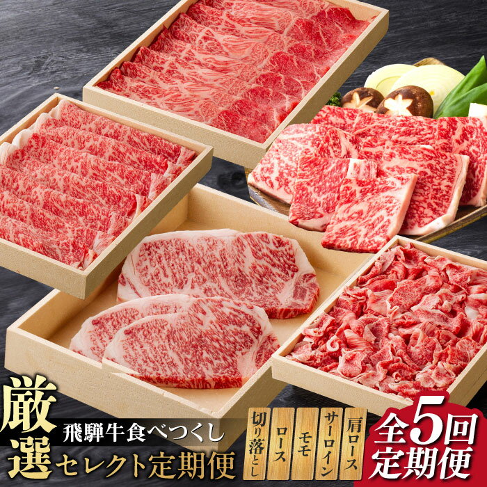 【ふるさと納税】【選べる定期便回数】 5回 10回 飛騨牛 食べつくし 厳選セレクト定期便 サーロイン ロース モモ 切り落とし ステーキ すきやき しゃぶしゃぶ 焼き肉 焼肉 和牛 国産 お肉 牛肉 肉 霜降り 赤身 お取り寄せ 岐阜県 岐阜市/だるまミート[ANBE001][ANBE002]