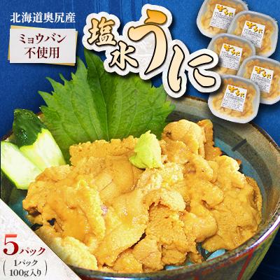 ふるさと納税 奥尻町 【期間限定・配送日指定不可】奥尻産「塩水うに」100g入り 5パック
