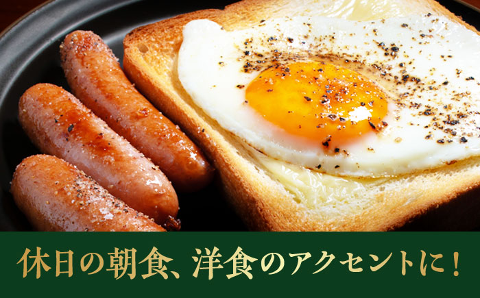 【全3回定期便】秒でプラスもう一品！大洲市産ブランドポーク『オズの箱入り娘』を使用したベーコンとウィンナーセット（小）　愛媛県大洲市/株式会社オズメッセ [AGAZ082]