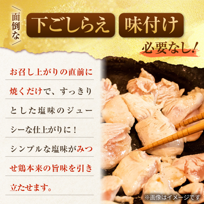 人気ブランド鶏の逸品！赤鶏「みつせ鶏」塩焼 1kg（200g×5袋）【ヨコオフーズ】[FAE040]