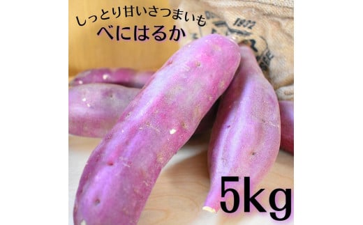 しっとり甘いさつまいも！「特別栽培農産物」べにはるか　5kg