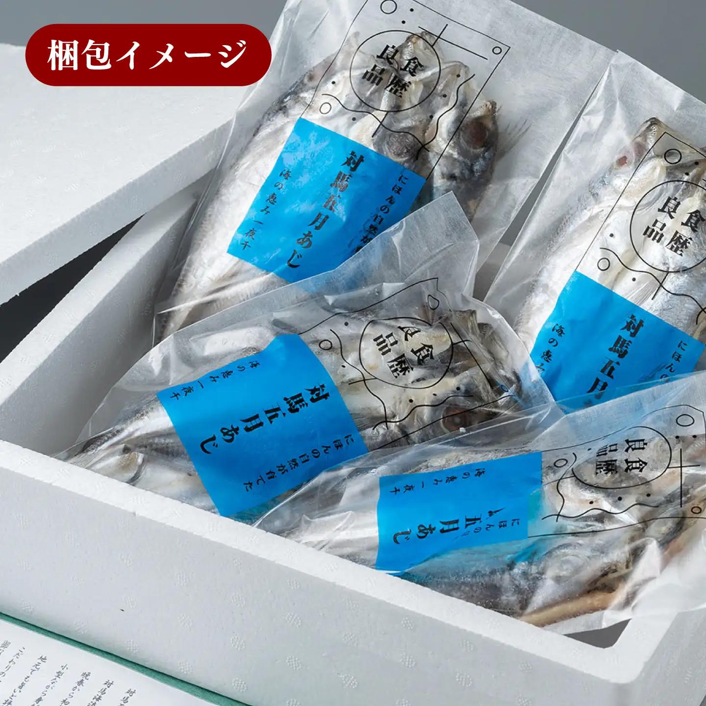 【全3回定期便】対馬 五月 真あじ 一汐干し 10枚 新鮮 アジ 干物 [WAI042]