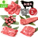 【ふるさと納税】定期便 牛肉 国産 松阪牛 サーロイン ロース サイコロステーキ しゃぶしゃぶ すき焼き 200g 毎月届く 5回 まとめ便可能 最優秀賞 冷凍 長太屋