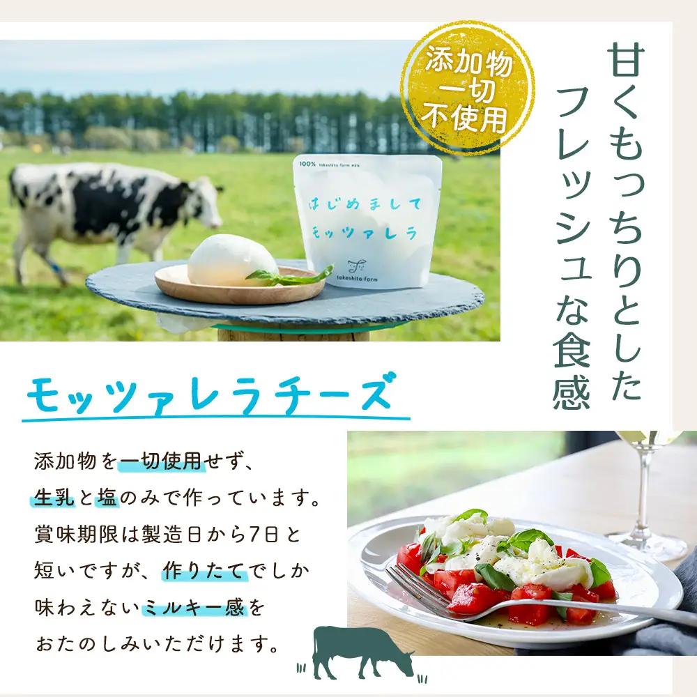 【★高評価レビュー獲得！】竹下牧場まるごとチーズセット モッツァレラ マリボーCUBE マリボー 乳製品 チーズ チーズセット モッツアレラ マリボー 発酵食品 ふるさと納税 北海道 中標津町 中標津