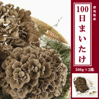 
100日まいたけ 500g×2株【1267432】
