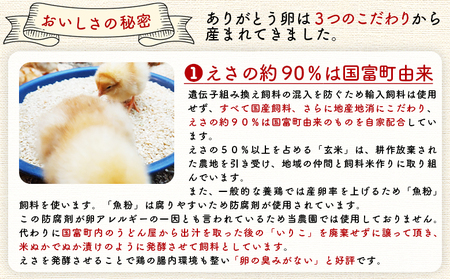 ＜自然農園「こころ」の平飼い『ありがとう卵』20個（10個×2パック）＞ 3か月以内に順次出荷【 卵 たまご タマゴ　生卵 ゆでたまご ゆで卵 卵焼き 玉子焼き オムレツ 親子丼 たまごかけご飯 たま