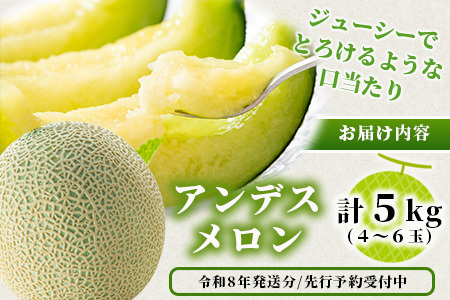 《2027年発送分 先行予約》 アンデスメロン 4玉～6玉 合計約5kg メロン 果物 フルーツ 熊本県 多良木町 108-0501