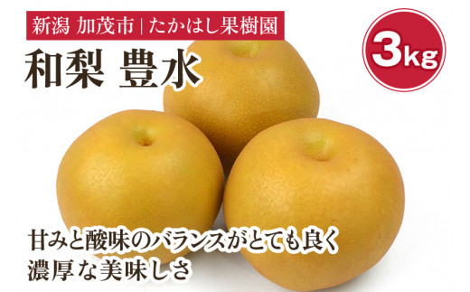 【2026年先行予約】 たかはし果樹園 謹製 新潟県産和梨 豊水 約3kg《9月上旬～順次配送》ほうすい 果物 フルーツギフト 秋の味覚 産地直送 加茂市 たかはし果樹園