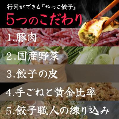 ふるさと納税 忠岡町 やっこ餃子 |  | 03