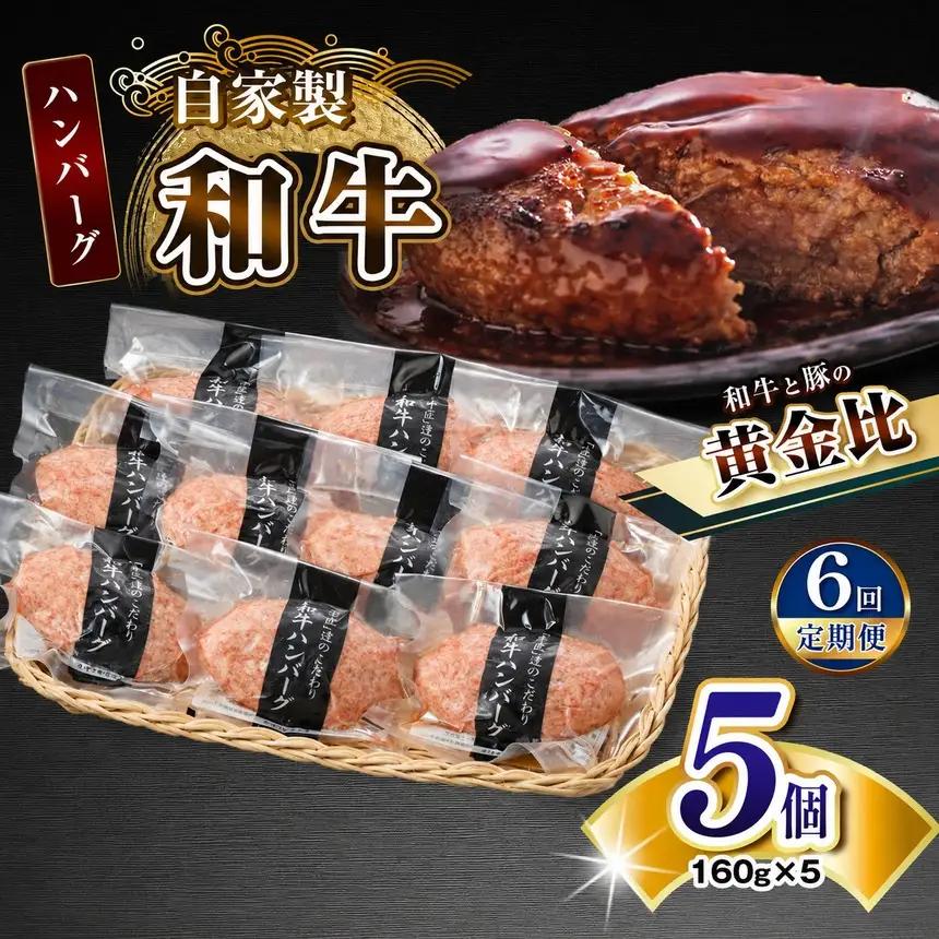 【定期便6回】自家製和牛ハンバーグ（生・冷凍個別真空）5個セット  | 牛肉 牛 肉 にく 和牛 かずさ和牛 国産 ハンバーグ 新鮮 オススメ 千葉県 君津市 きみつ