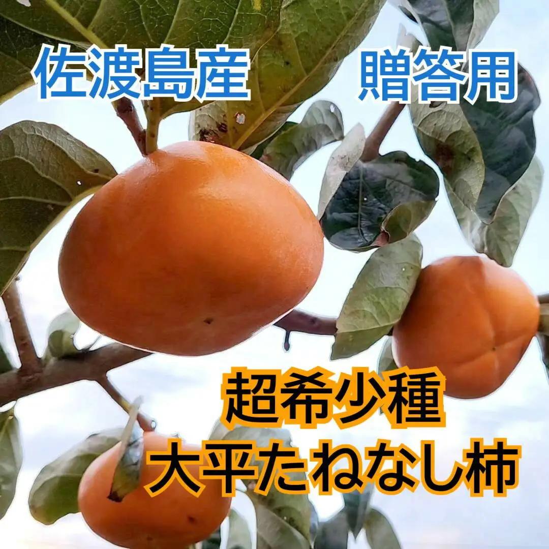 【2026年11月以降発送】 柿 たねなし柿 6個 大平 贈答用