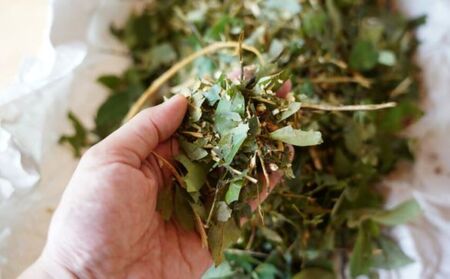 くろもじ茶 ティーバッグ 3.0g×20個  / ノンカフェイン 妊婦 子ども ハーブティ天然くろもじ 個包装 リフレッシュタイム 風味豊か 長期保存 来客時 和菓子 お茶うけ 健康 ハーブ