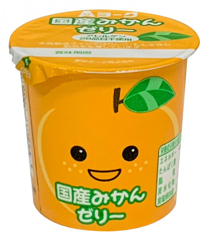 【6ヶ月定期便】愛知ヨーク　国産みかんゼリー　20個入