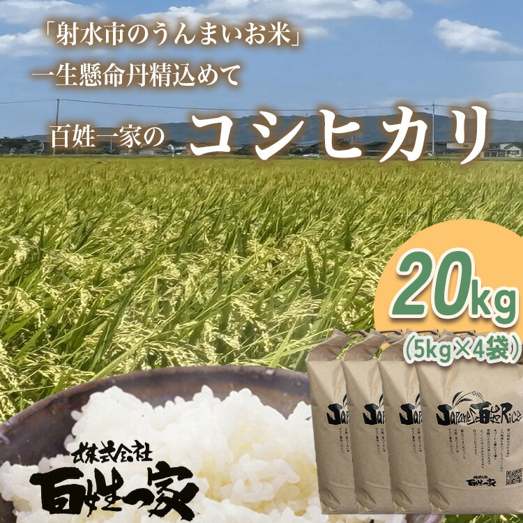 【ふるさと納税】【射水市】【射水の美味しいお米】百姓一家のコシヒカリ 20kg（5kg×4）【精米】｜お米 米 こめ コメ こしひかり コシヒカリ 令和7年産米 ブランド米 銘柄米 20kg 20キロ 白米 新米 富山県産 射水市産 北陸 人気 ランキング おすすめ ※離島への配送不可