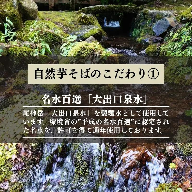 自然芋そば (乾麺) 20袋 蕎麦 そば ソバ 自然芋 じねんじょ 乾麺 新潟県 上越市