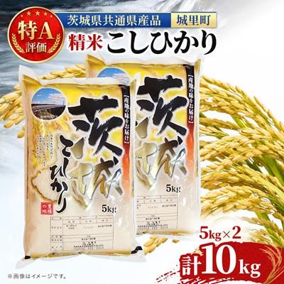 ふるさと納税 水戸市 【毎月定期便】茨城産コシヒカリ 精米 10kg(5kg×2) 全3回