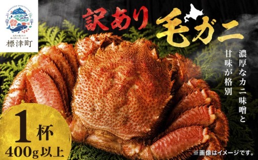 【溢れる旨味！】こだわり品質 毛ガニ 若蟹 選べる 400g以上×1杯 わけあり 国産 北海道 羅臼産 蟹 かに カニ 毛がに 毛蟹  冷凍毛ガニ 冷凍かに 冷凍カニ 訳ありカニ 訳アリ 訳アリ毛ガニ 訳あり毛ガニ 人気 ランキング おすすめ ごほうび 贅沢 毛ガニ冷凍 蟹脚 蟹あし カニ脚 かに北海道 北海道産 魚貝類 魚介類 海鮮 魚介 魚貝 お盆 お祝い プレゼント 北海道 標津町